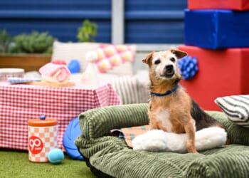 The top 10 firms for flexible working as demand for part-time jobs surge by third