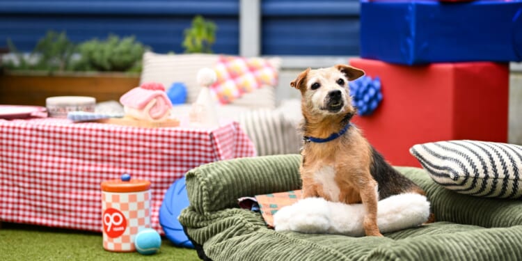 The top 10 firms for flexible working as demand for part-time jobs surge by third