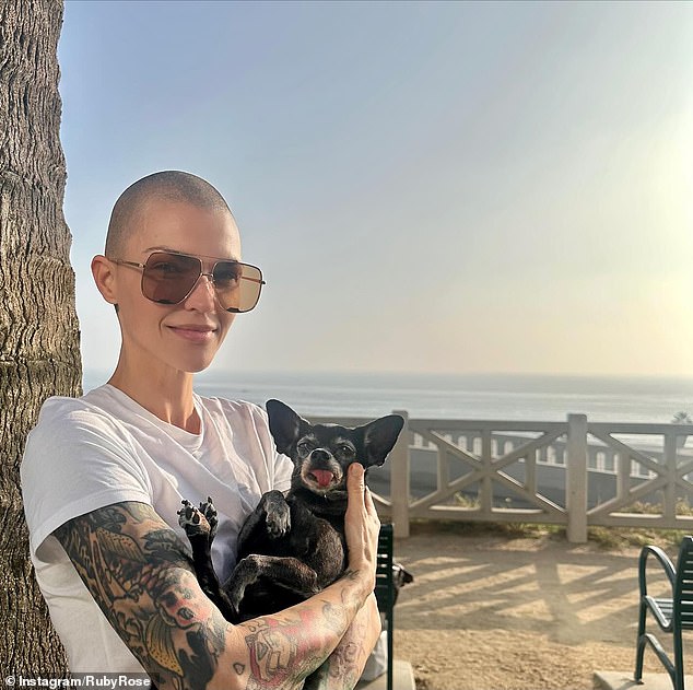 On Monday, Orange is the New Black alum Ruby Rose strongly objected to the casting of the 27-year-old registered Republican and claimed lesbians like herself stayed home from the cinema out of protest (pictured October 26)