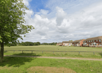 Woman sexually assaults victim in a park before boyfriend flashes her and pair run off as cops launch probe