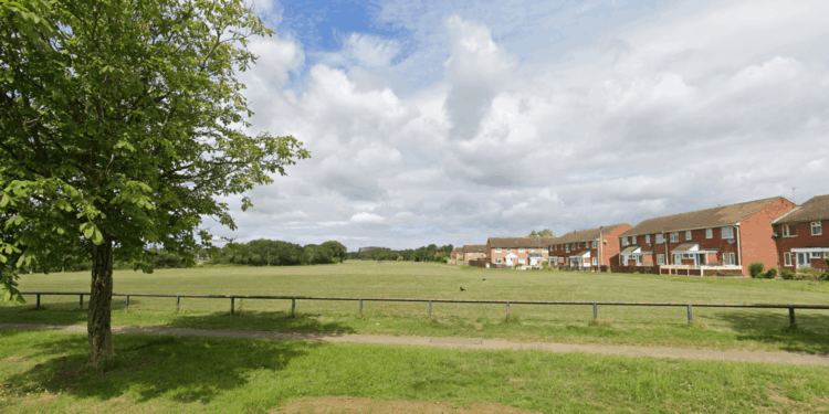 Woman sexually assaults victim in a park before boyfriend flashes her and pair run off as cops launch probe