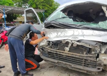 Five tourists killed at holiday hotspot after rental bus crashes into a tree and plunges into a ravine