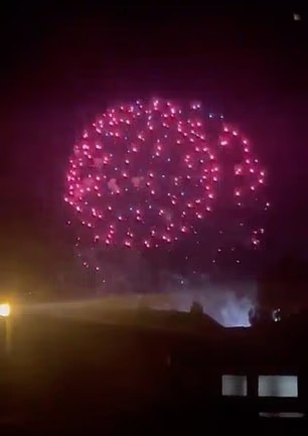 Fireworks at Mr Richmond's house. One woman in her 80s was so startled by the display she thought someone was breaking in to her home. Another thought there had been a plane crash. But by far the worst toll was that inflicted on pets and animals