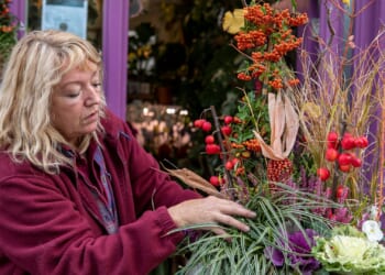 Garden pro's 11 top tips bring Winter wow factor to pot planting