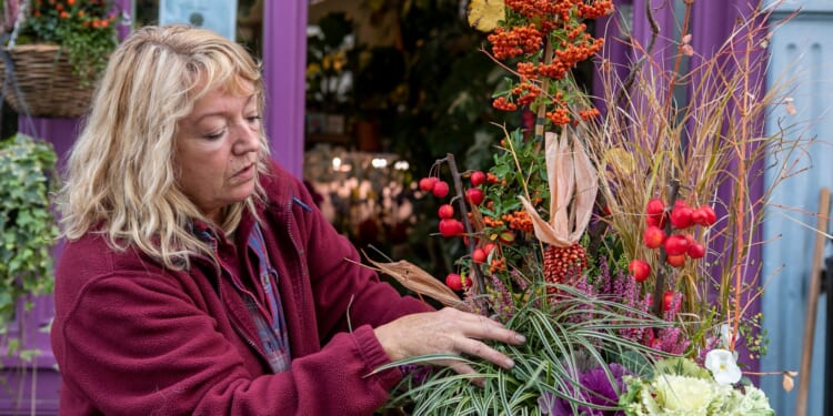 Garden pro's 11 top tips bring Winter wow factor to pot planting