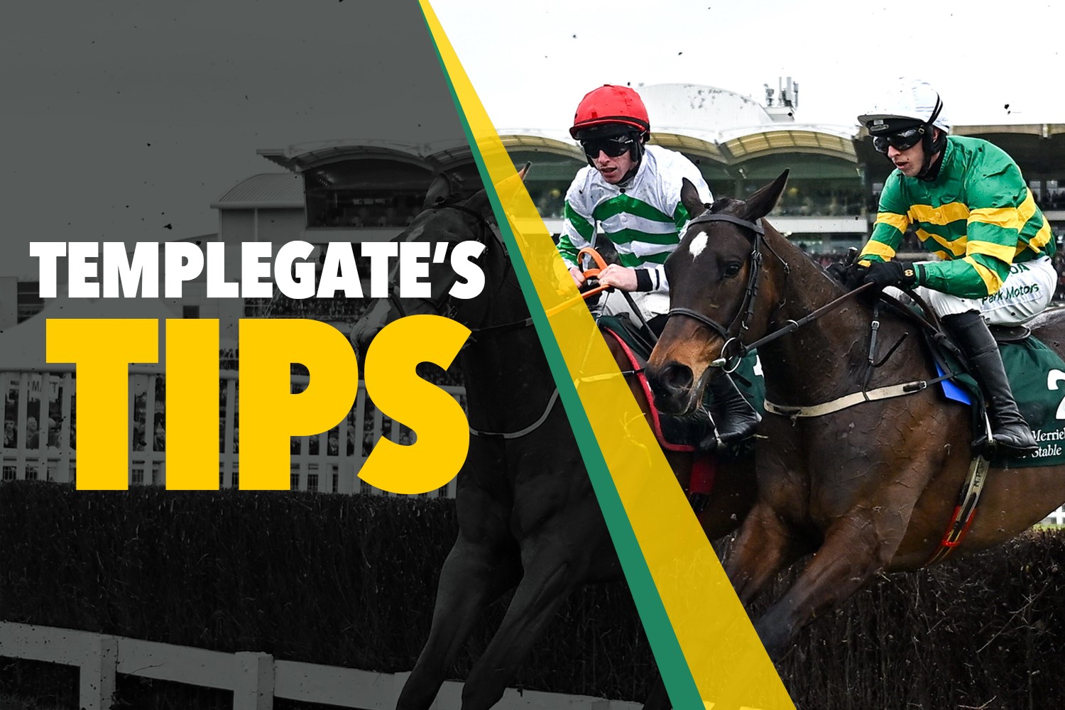 Horse racing tips: 'He travels like a machine and can fire in a Cheltenham double'
