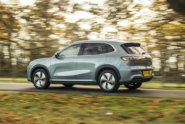 There are 8 year warranties on the car and the battery, four years' roadside assistance for private buyers, and two years of free maintenance servicing