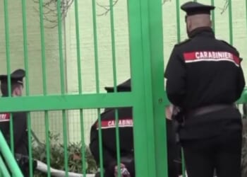 Boy, 2, dies after being 'strangled by his own jumper' at nursery as he got caught on tree branch