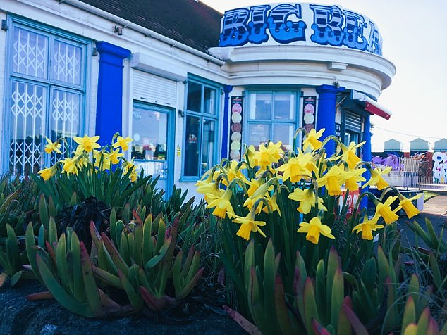 Staff at the DJ's café said they worked hard to bring the hygiene and rodent problem under control. However it was forced to shut for one day to allow experts to ensure the building was improved long-term