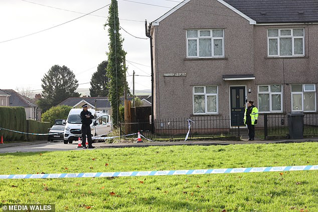 Armed police were called to the family's three-bedroom former council house in the village of Cefn Fforest, while paramedics arrived in an air ambulance but were unable to save Lainie