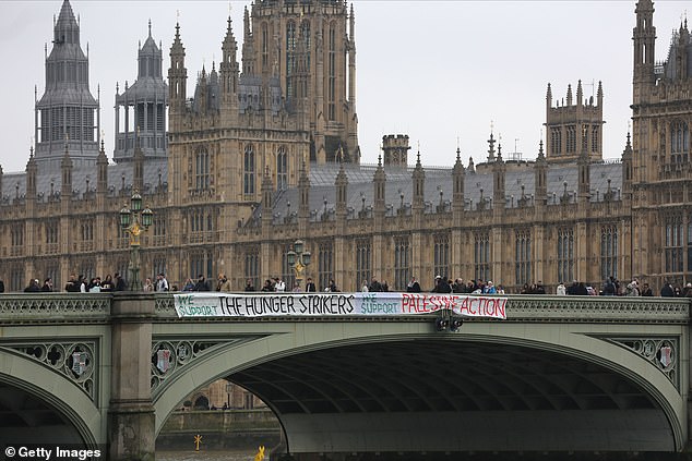 Palestine Action was banned as a terror organisation in July after the group claimed responsibility for an action in which two Voyager planes were damaged at RAF Brize Norton the previous month