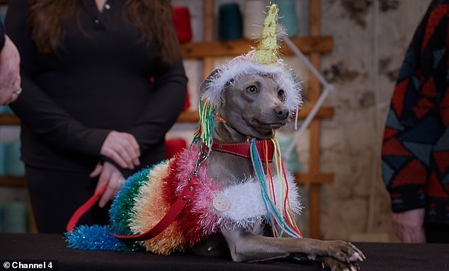 Now Peta has criticised the show, with its vice president of programmes, Elisa Allen, writing to Channel 4 saying: ¿The only animals who should wear wool are sheep'