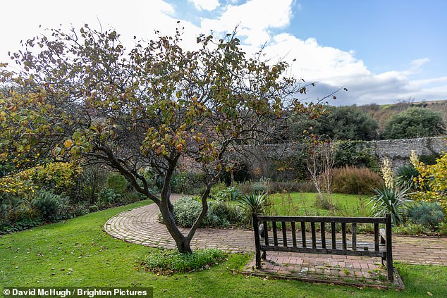 Brighton and Hove City Council is looking to spend £50m to acquire 200 homes over the next two years