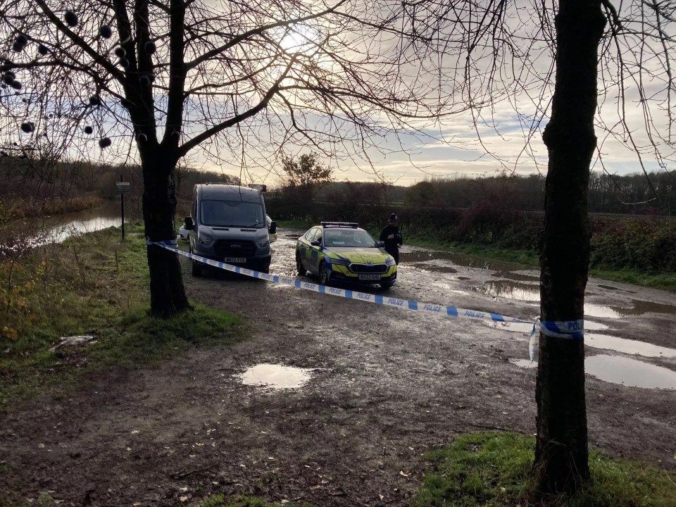 NINTCHDBPICT001038941903