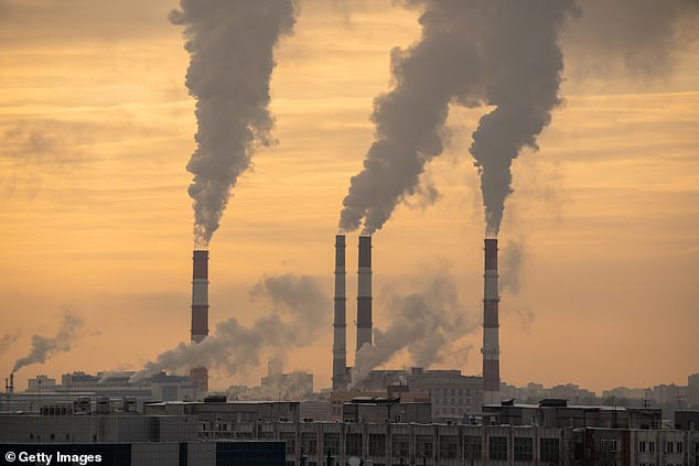 Climate advocates have targeted carbon emissions as a leading cause of global warming, but Lindzen said carbon dioxide actually helps plant life (Stock Image)