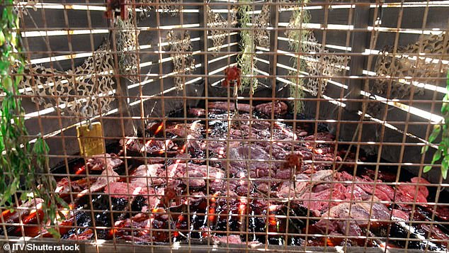 Ant and Dec appear with yet another curveball, unveiling a challenge that will ultimately decide how the group makes their way into camp