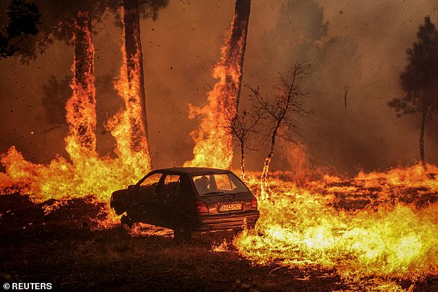 The impact is not just being felt by those whose lives have been directly impacted by climate change through wildfires, flooding or drought (Pictured: A car burns during the wildfire in Meda, Portugal, in August 2025)