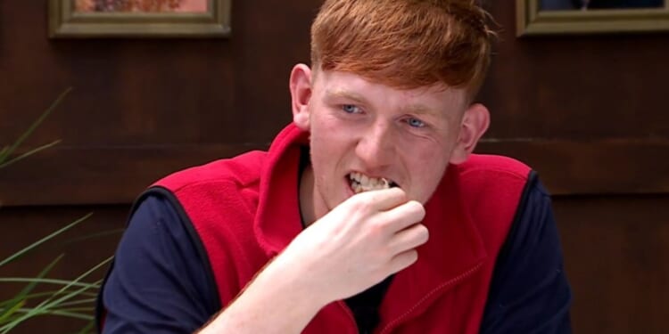 Wayne Rooney makes I'm A Celebrity cameo in blink and you'll miss it moment as Angry Ginge retches in Bushtucker Trial