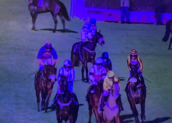 Absolute chaos at Plumpton as chequered flag drama sees almost half the field stop in confusion