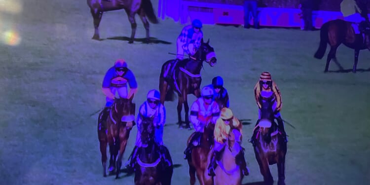 Absolute chaos at Plumpton as chequered flag drama sees almost half the field stop in confusion