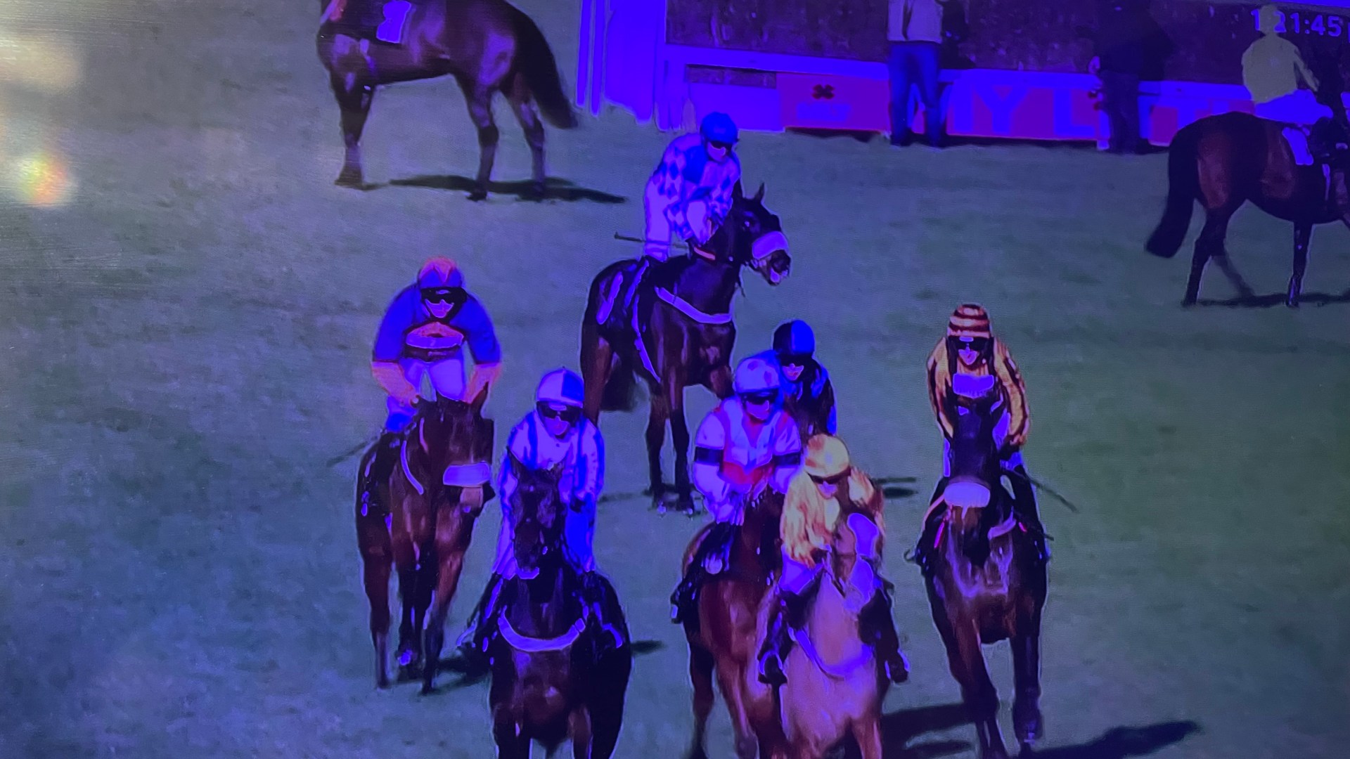 Absolute chaos at Plumpton as chequered flag drama sees almost half the field stop in confusion