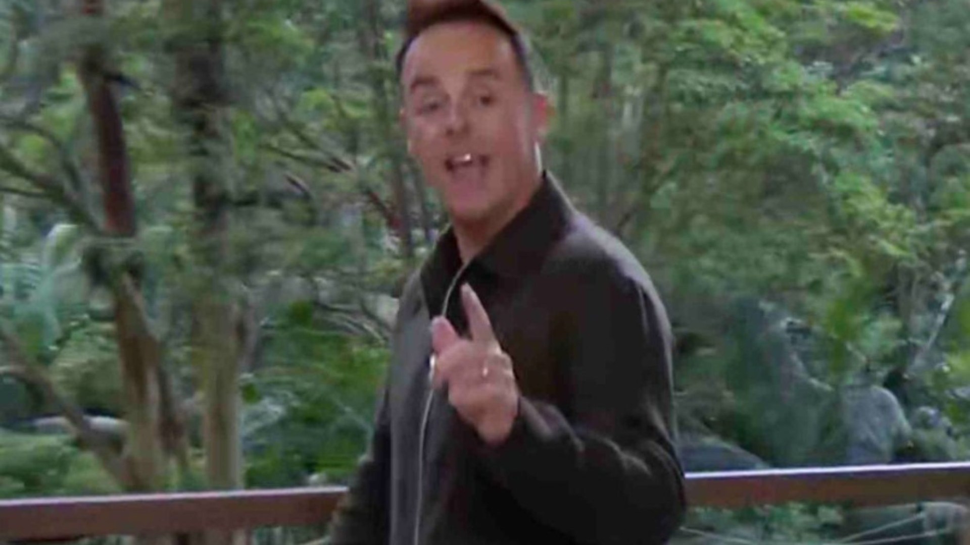 Ant McPartlin slams I'm A Celebrity stars as 'a bunch of idiots' after Angry Ginge's 'hapless' move