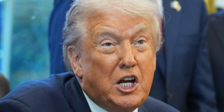 Trump's Board of Peace WILL govern Gaza after UN backs President's plan to govern devastated strip