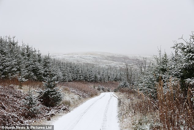 Snow falls over Kidlandlee in Northumberland this morning with more on the way this week