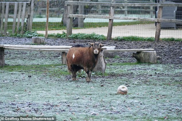 A cold and frosty start to the day in the Oxfordshire countryside at Dunsden this morning