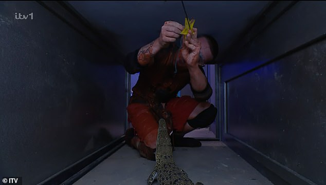 At one point he had to get a star from a vault with the pesky crocs in and everytime he leant in they jumped up to bite him making him scream