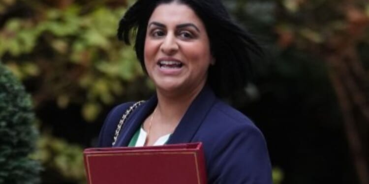 Labour MP ridiculed for slamming Home Secretary's asylum overhaul as 'populist'