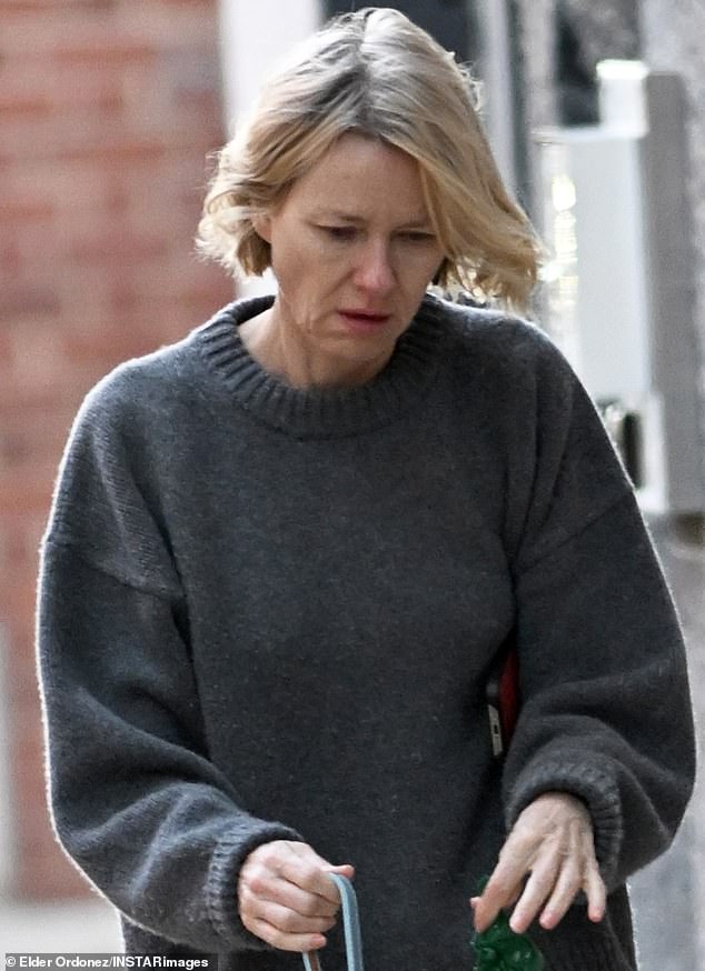 Schreiber, 58, was rushed to the hospital in New York on Sunday with a concerning headache and spent the night there on doctor's orders