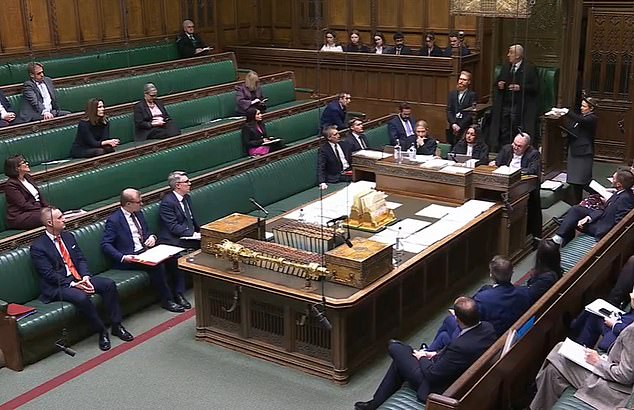 Mr Jarvis said there would be a 'comprehensive package of measures' to 'disrupt and deter' the threat, including a task force specifically geared at protecting politicians