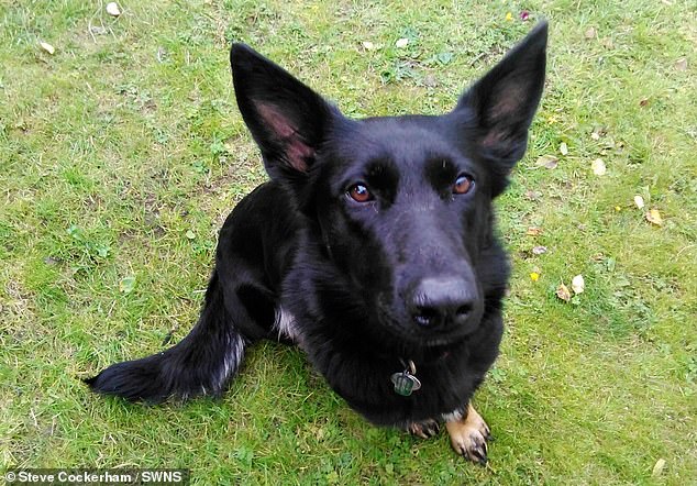 Molly was left with extensive tissue and ligament damage and may need to be put down if her condition does not improve