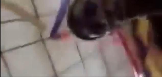 The video ends when one of the men discovers the device the service was being live streamed on