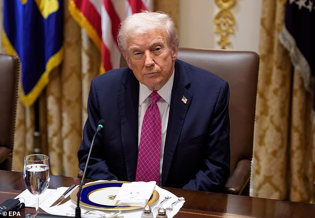 Trump was not happy with Musk after the tech leader turned on him, and he often attacked Musk on social media over the summer. Since then, their relationship has seemed to stabilize