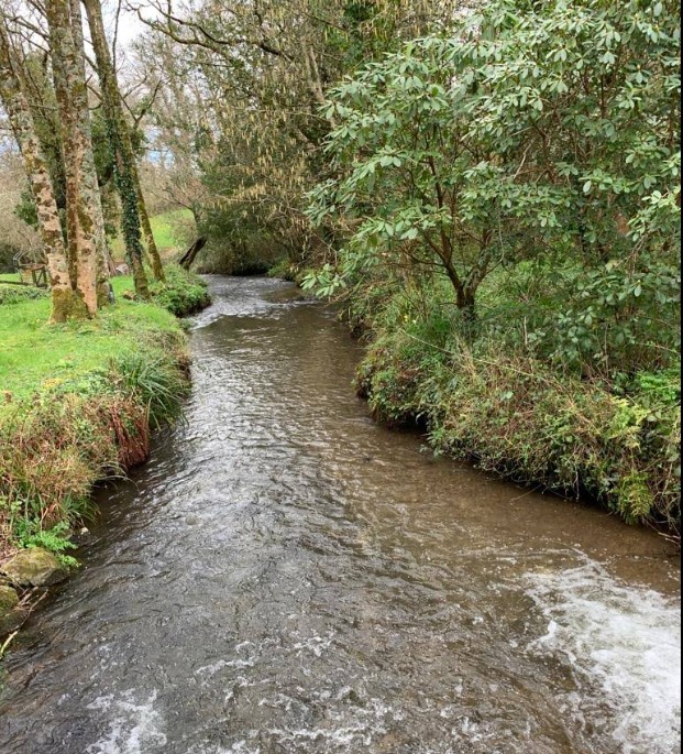 NINTCHDBPICT001039665404