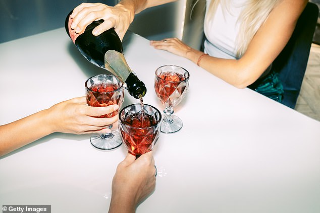 Meier said to pause what you're doing at the table when someone is speaking, adding especially important if someone is making a toast (stock image)