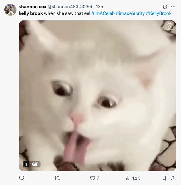 Viewers found it annoying as they penned on X: 'Kelly Brook is seriously getting on my wick, asking Jack to do the eel, then shaming for doing it, then when she took it back from him retching #ImACeleb glad she's got tomorrow¿s trial'