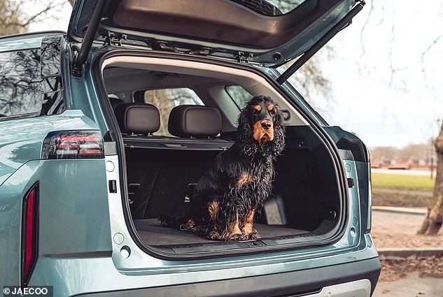 The boot isn't the biggest: The petrol has a 500-litre boot but the PHEV only has 412 litres. However both have an automatic tailgate