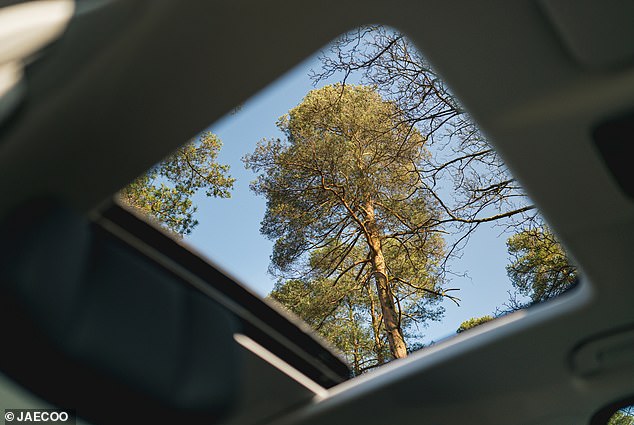 The panoramic roof is a standard option on both trims and makes the cabin light and airy. It's one of the features mums on TikTok are most keen on