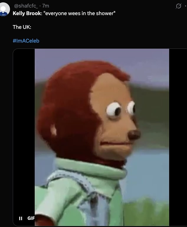 However her declaration sparked discussion on X, with some viewers unimpressed, while others admitted they did it too