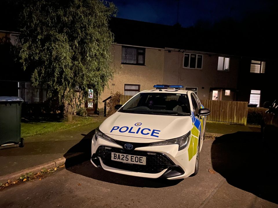 A white police car parked in a residential street at night.