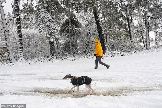 A man walks his dog at Lockwood Beck following heavy overnight snowfall in Lingdale