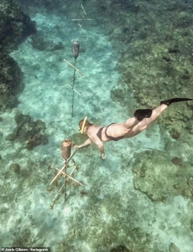 Josie revealed she has just docked in Barbados for her next adventure as she shared amazing underwater snaps snorkeling