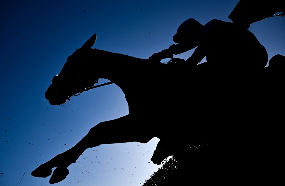 Silhouetted racehorse and jockey jumping a hurdle against a bright blue sky.
