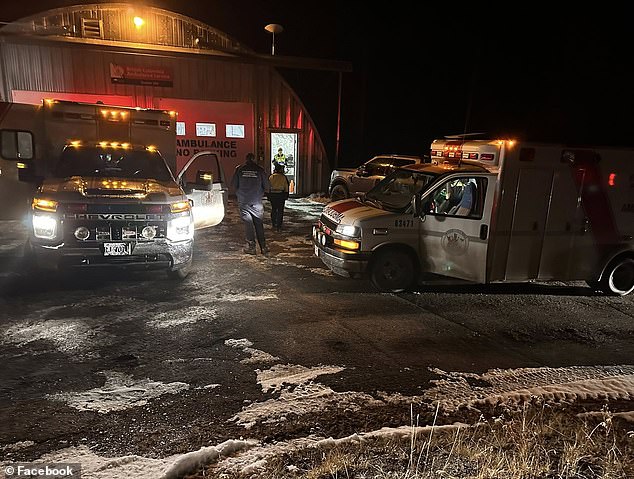 At least 11 people were injured, including two who are in critical condition and two who are considered seriously injured, when the bear attacked a school ground on Thursday