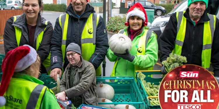 Simple way YOU can help Brits facing Christmas hunger as Sun launches winter food collection appeal TODAY