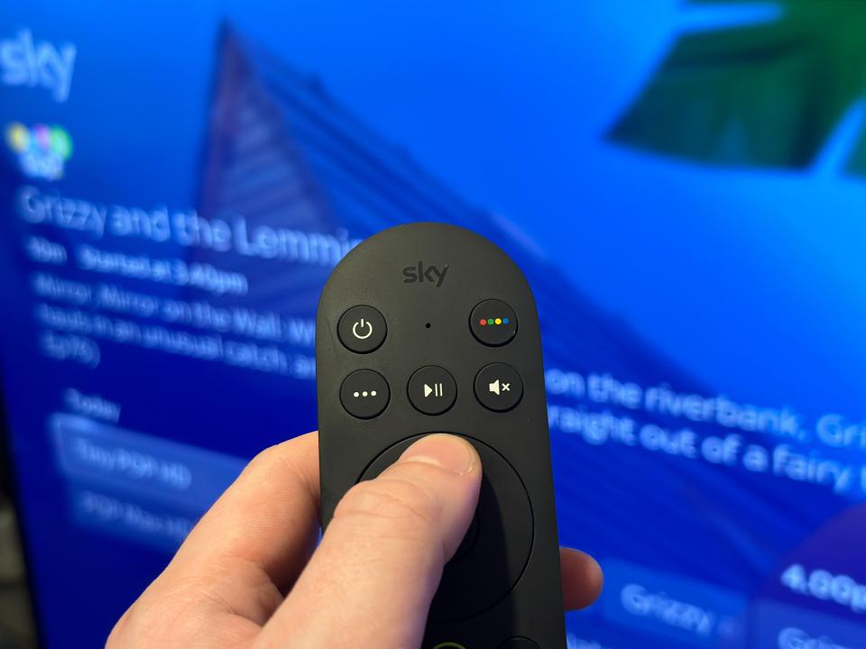 A hand holds a black Sky remote control, with a TV screen showing "Grizzy and the Lemmings" in the background.
