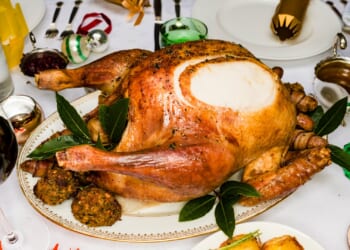 Fears Christmas dinner could be ruined by looming turkey shortage as 'super strain' bird flu rips through UK farms